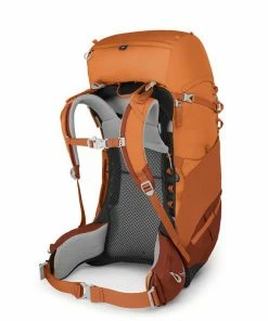Packs Osprey Ace 50 Kid's Backpacking