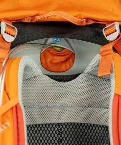 Packs Osprey Ace 50 Kid's Backpacking